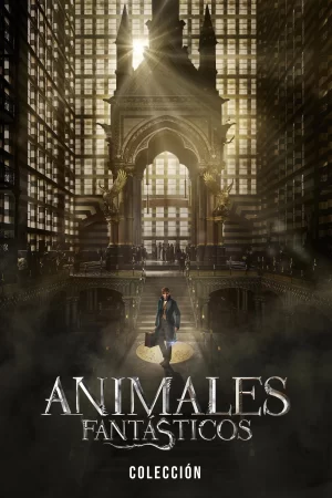 Animales fantásticos (2016-2022) WEB-DL 1080p Latino